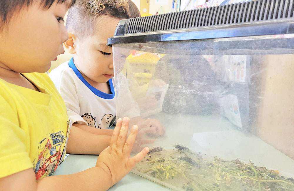 大切にしていること画像