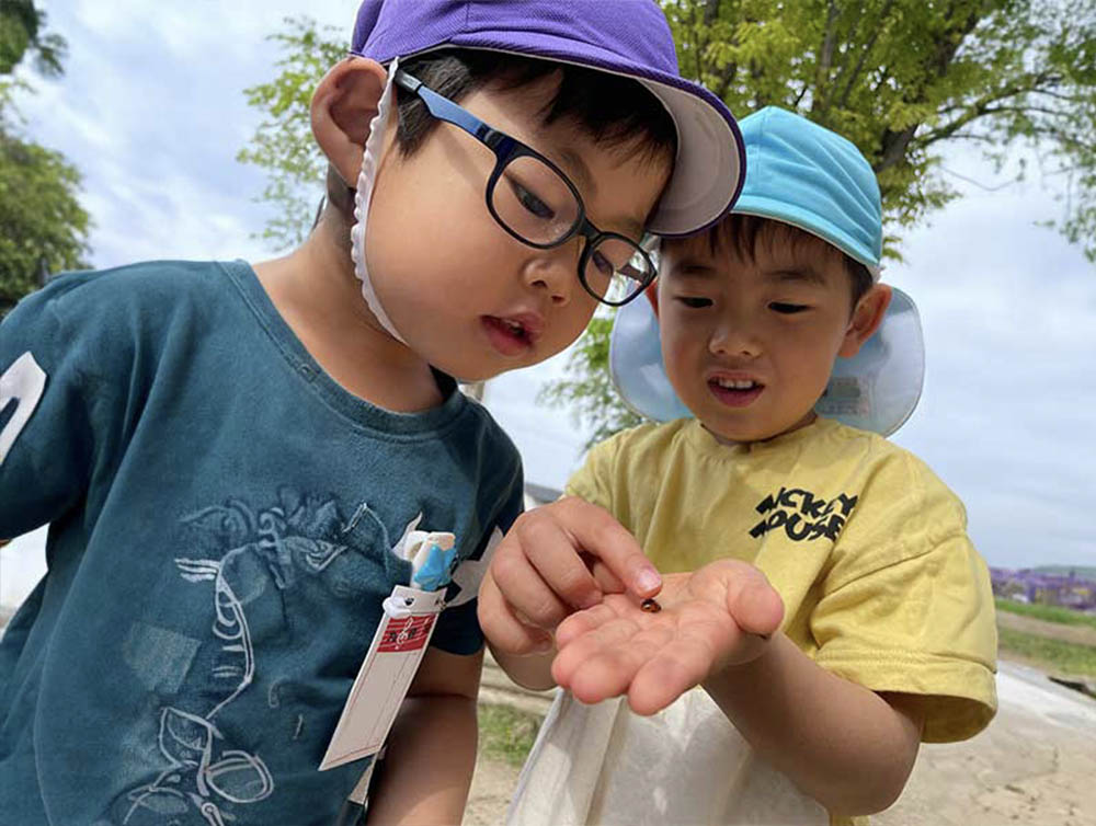 アドベンチャーランド画像